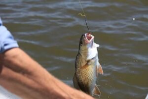 Fishing Spots Worth Your Visit